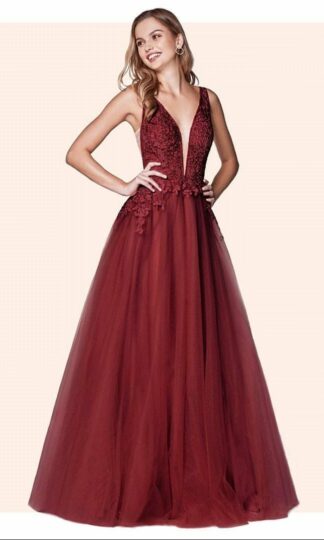 Escote V bordado tul